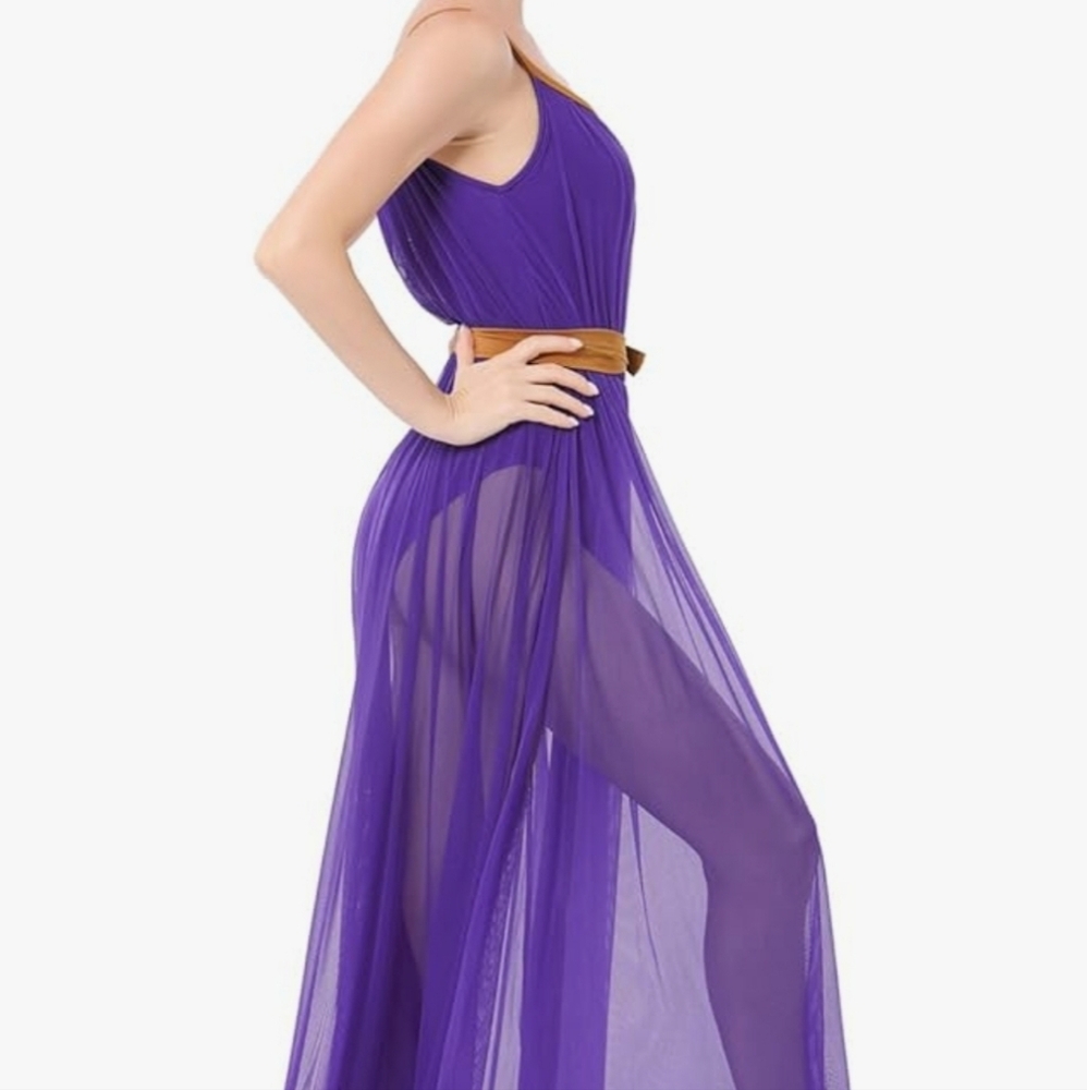 Elegant Purple Sheer Dance wear